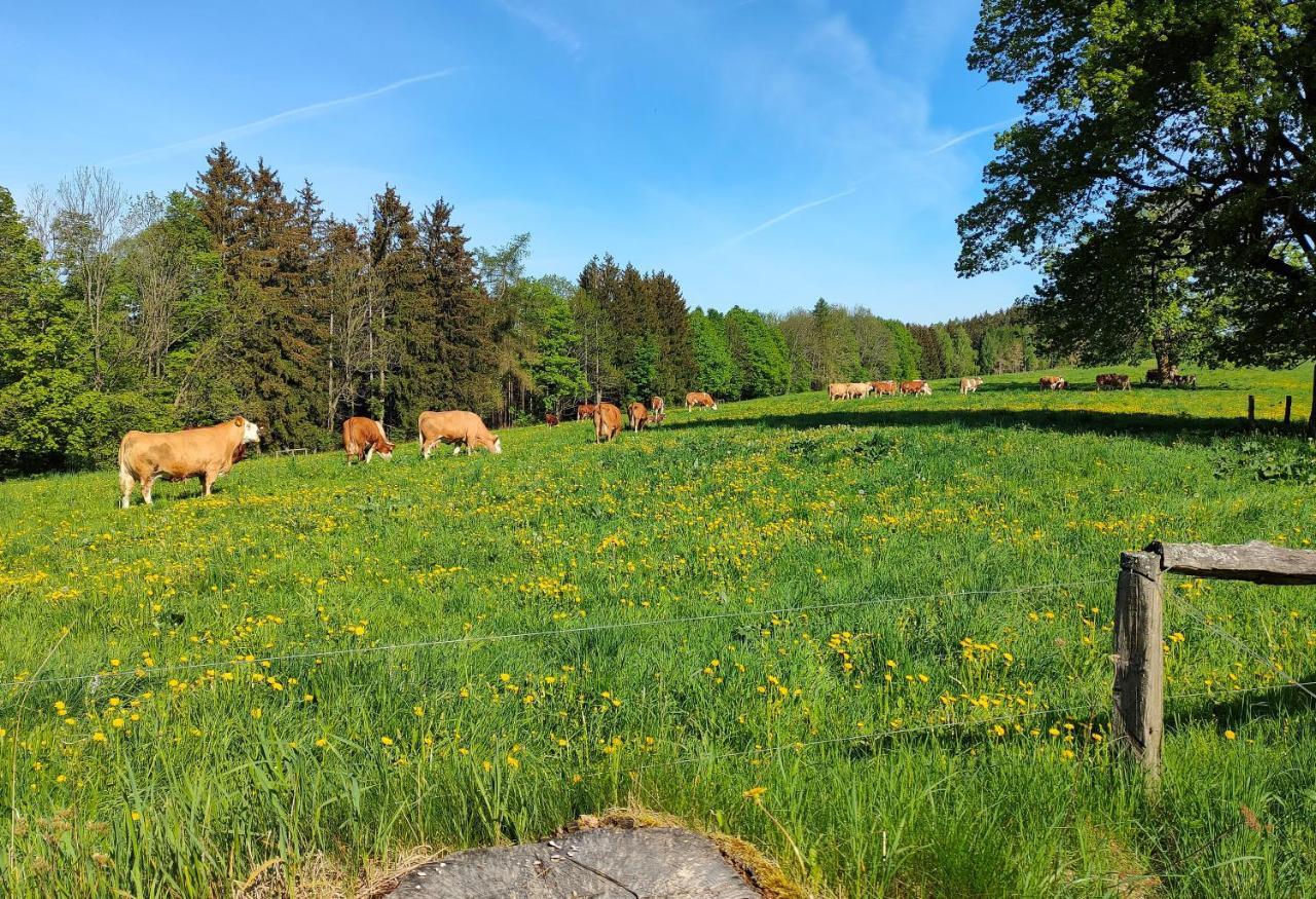 Zdomek Teplice nad Metují Kültér fotó